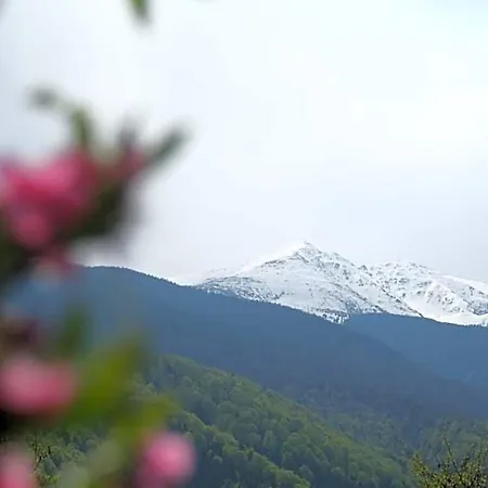 Отель Belmonte